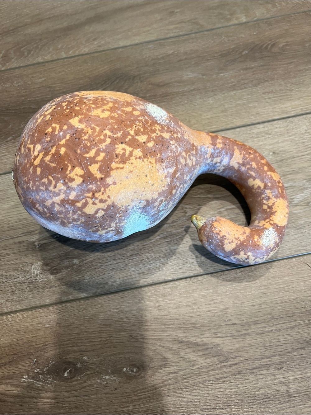 Decorative Rustic Gourd Accent - Orange Speckle